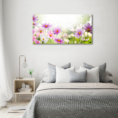 Foto glasbild Blumen auf der Wiese