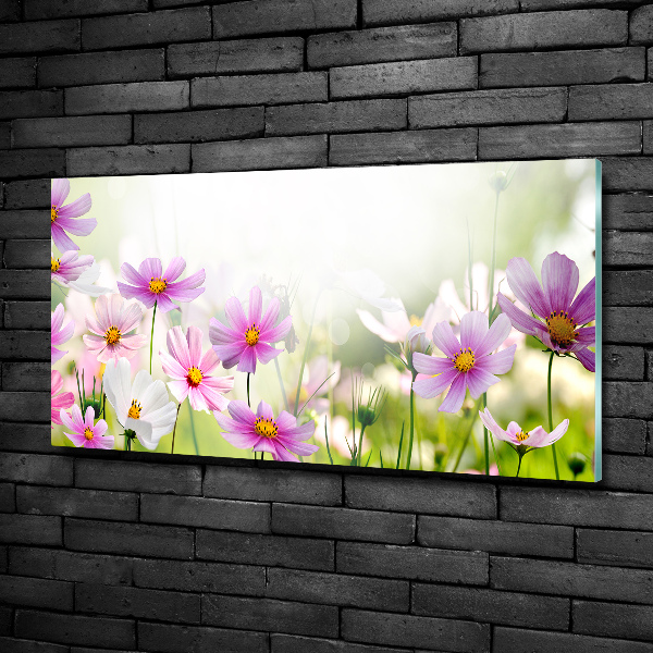 Foto glasbild Blumen auf der Wiese