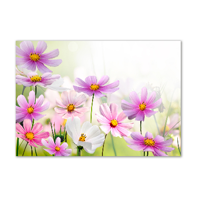 Foto glasbild Blumen auf der Wiese