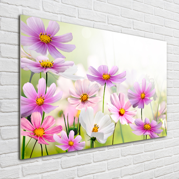 Foto glasbild Blumen auf der Wiese