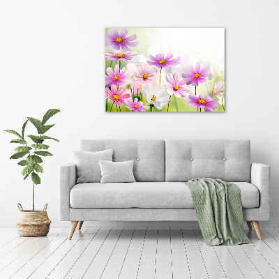 Foto glasbild Blumen auf der Wiese