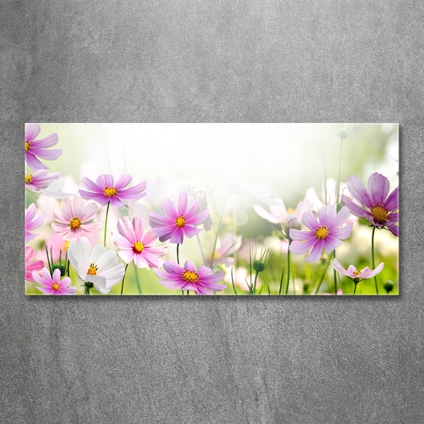 Foto glasbild Blumen auf der Wiese