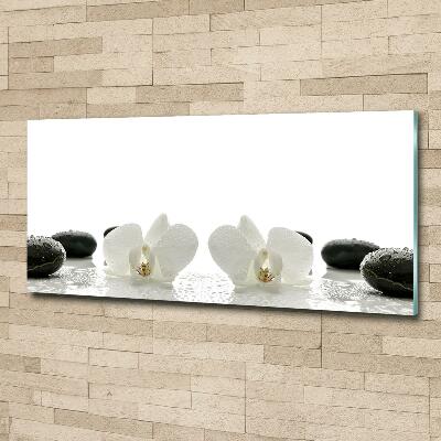 Bild auf glas Orchidee