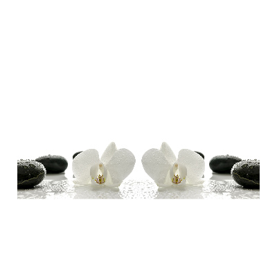 Bild auf glas Orchidee