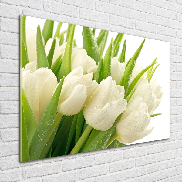 Glasbild Weiße Tulpen
