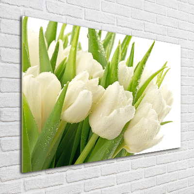 Glasbild Weiße Tulpen