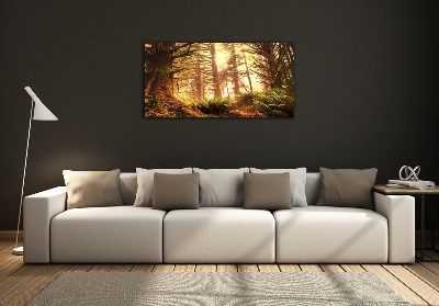 Foto glasbild Regenwald