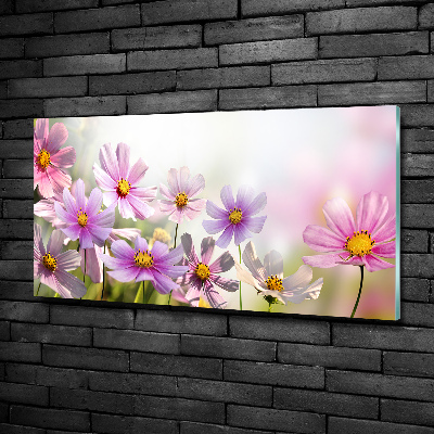 Foto glasbild Blumen auf der Wiese