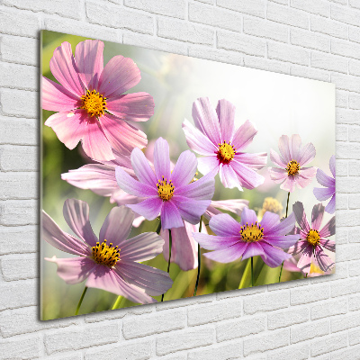 Foto glasbild Blumen auf der Wiese