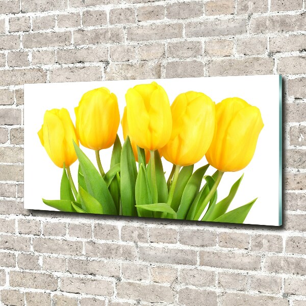 Bild auf glas Gelbe Tulpen