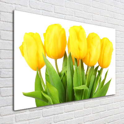 Bild auf glas Gelbe Tulpen