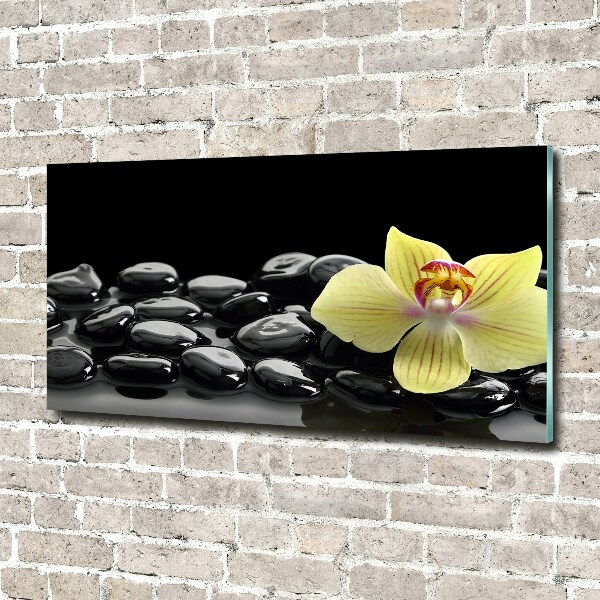 Foto glasbild Orchidee