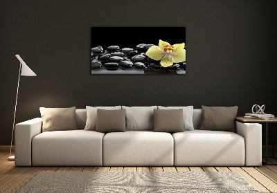 Foto glasbild Orchidee