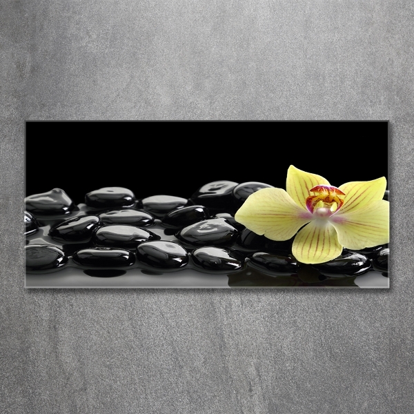 Foto glasbild Orchidee
