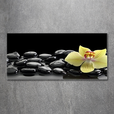 Foto glasbild Orchidee
