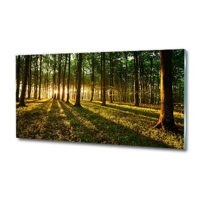 Bild auf glas Sonnenstrahlen