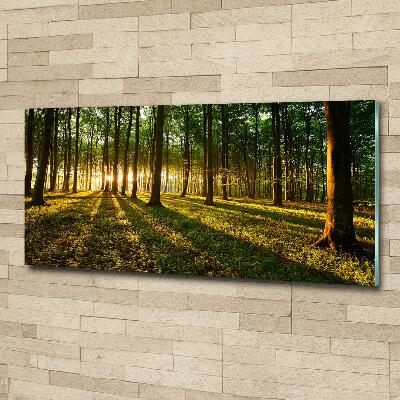 Bild auf glas Sonnenstrahlen