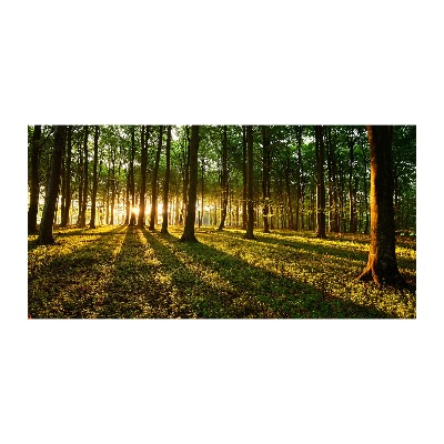 Bild auf glas Sonnenstrahlen