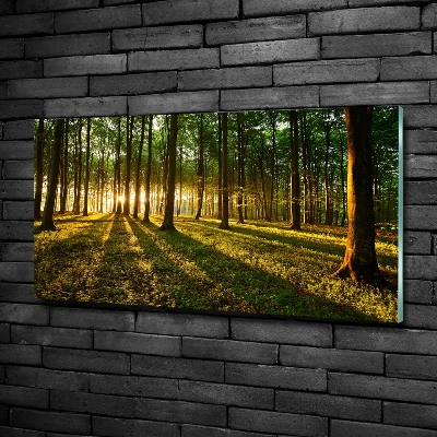 Bild auf glas Sonnenstrahlen