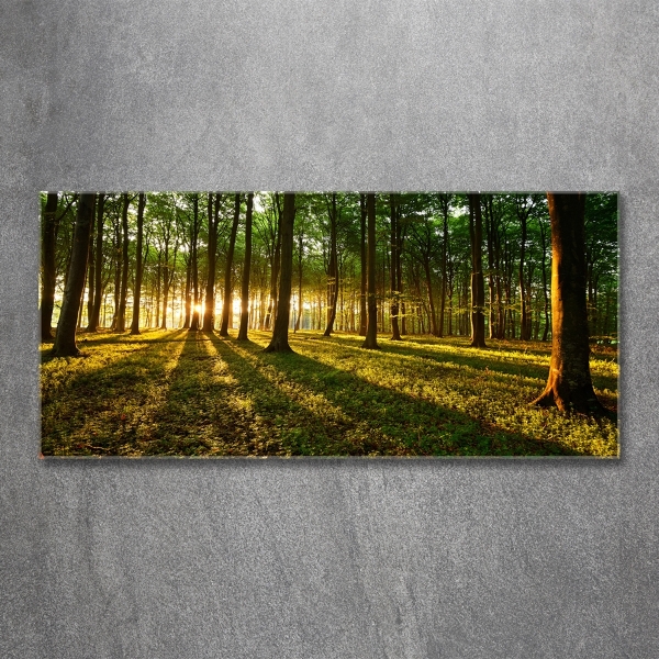 Bild auf glas Sonnenstrahlen