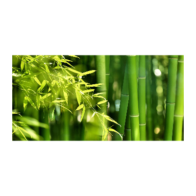 Bild auf glas Bambus