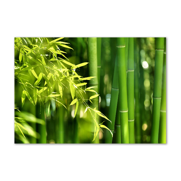 Bild auf glas Bambus