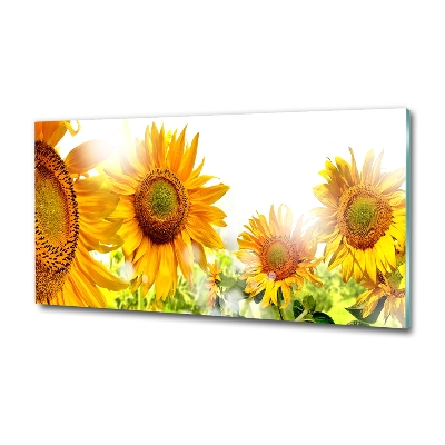 Bild auf glas Sonnenblumen