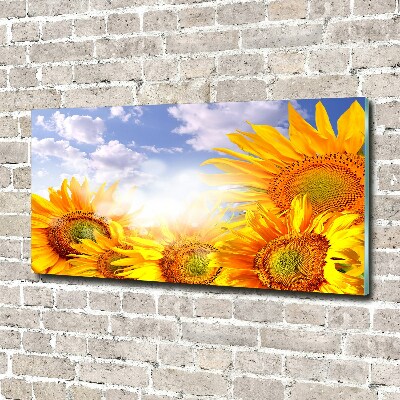 Foto glasbild Sonnenblumen