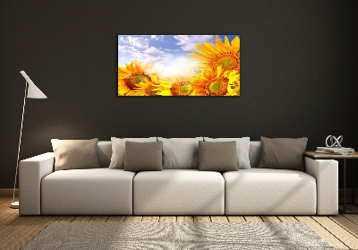 Foto glasbild Sonnenblumen