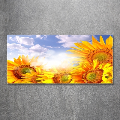 Foto glasbild Sonnenblumen