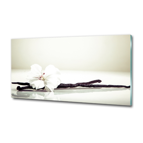 Glasbild Vanilleschote