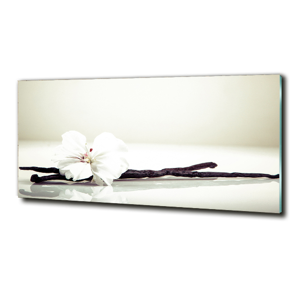 Glasbild Vanilleschote