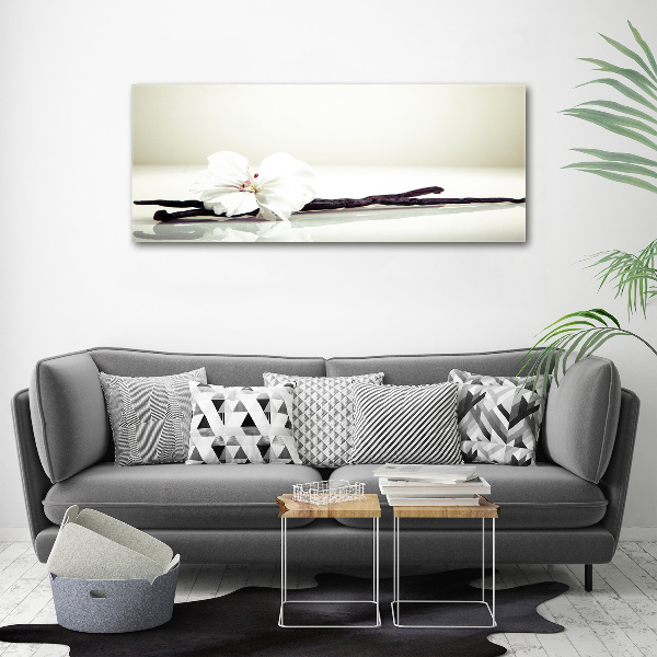 Glasbild Vanilleschote