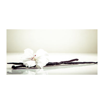 Glasbild Vanilleschote