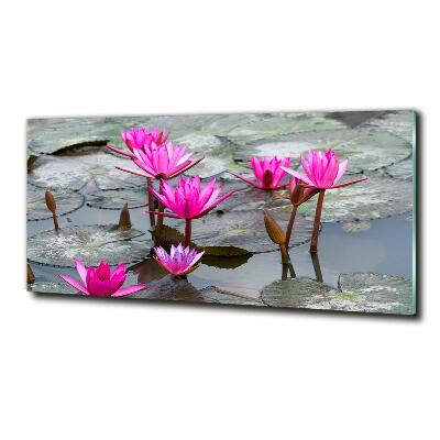 Foto glasbild Lotosblume