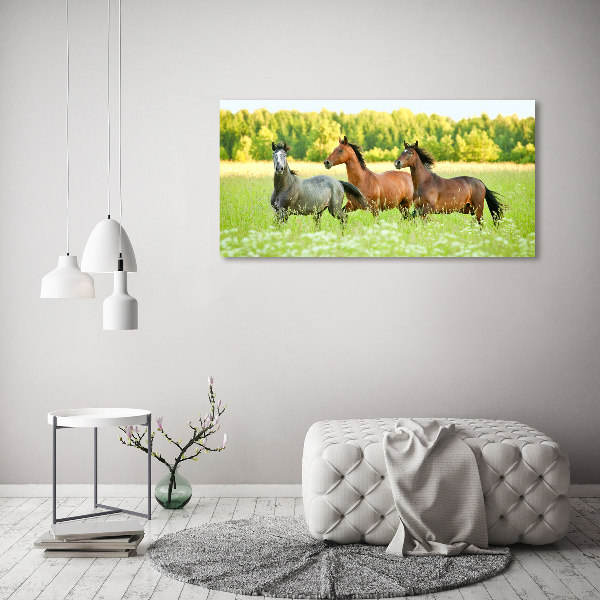 Foto glasbild Pferde im Galopp
