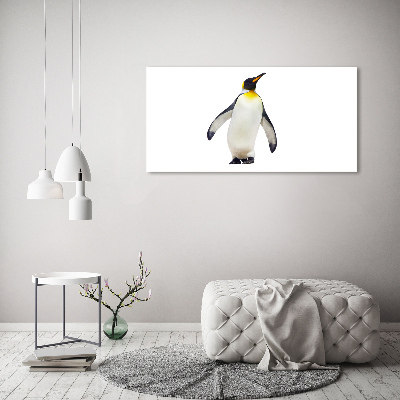 Bild auf glas Pinguin