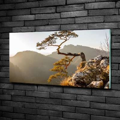 Bild auf glas Sokolica Pieniny