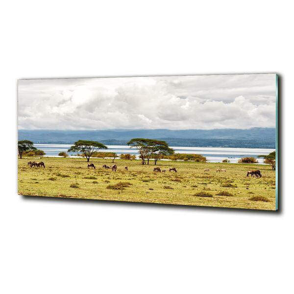 Foto glasbild Naivasha-See