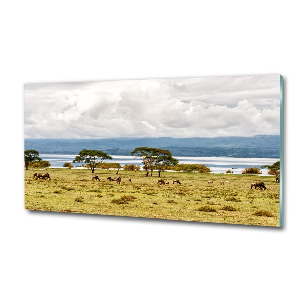 Foto glasbild Naivasha-See
