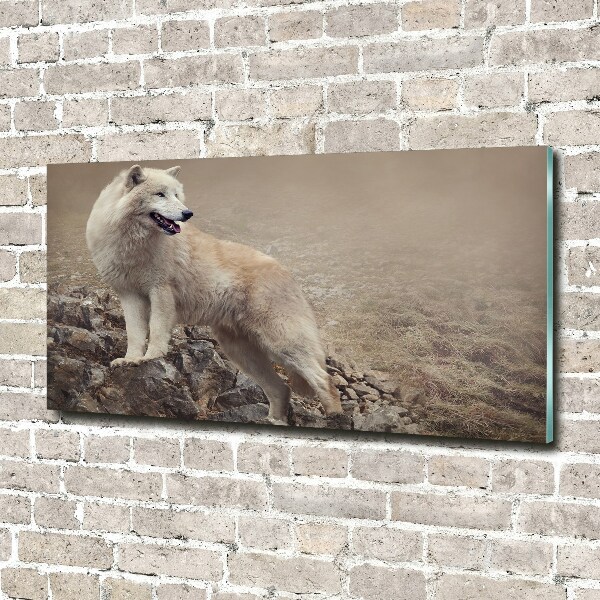 Foto glasbild Weißer Wolf auf einem Felsen