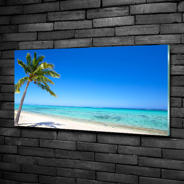 Foto glasbild Tropischer Strand