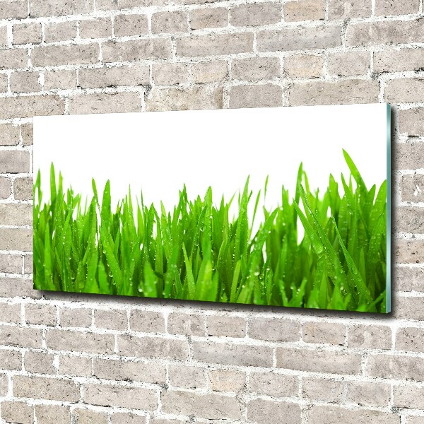 Glasbild Gras