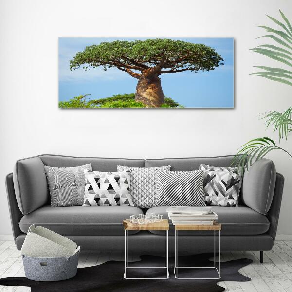 Foto glasbild Baobab