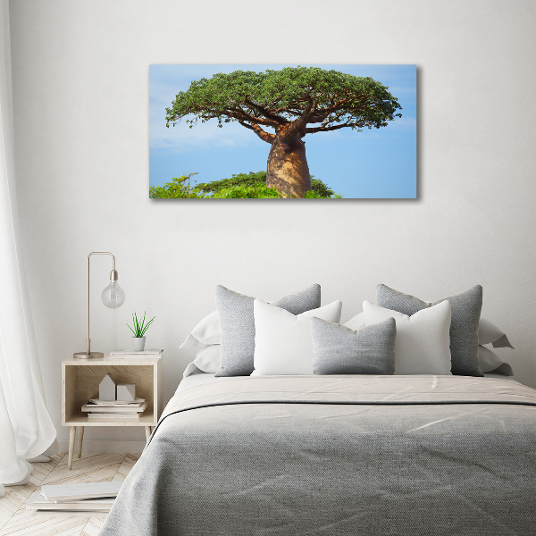 Foto glasbild Baobab