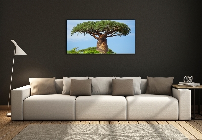 Foto glasbild Baobab