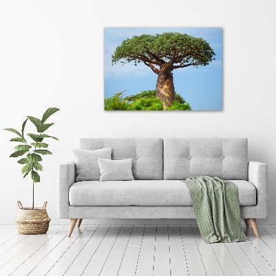 Foto glasbild Baobab