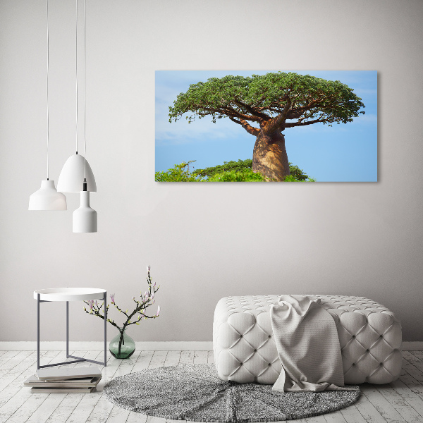Foto glasbild Baobab