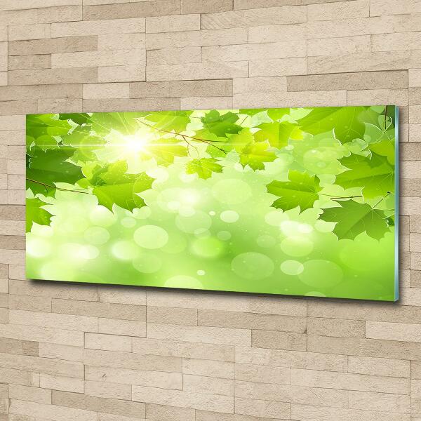 Bild auf glas Rosskastanienblätter