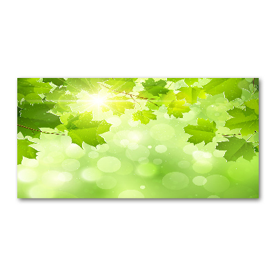 Bild auf glas Rosskastanienblätter